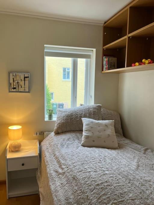 Charming 3 Bedroom Apartment Akureyri Extérieur photo
