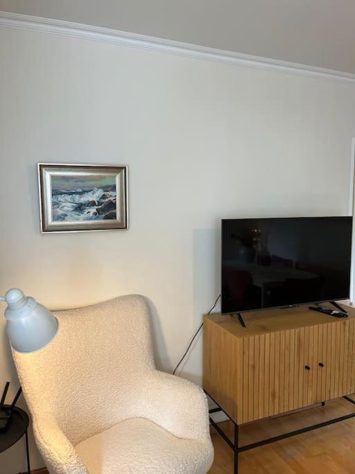 Charming 3 Bedroom Apartment Akureyri Extérieur photo